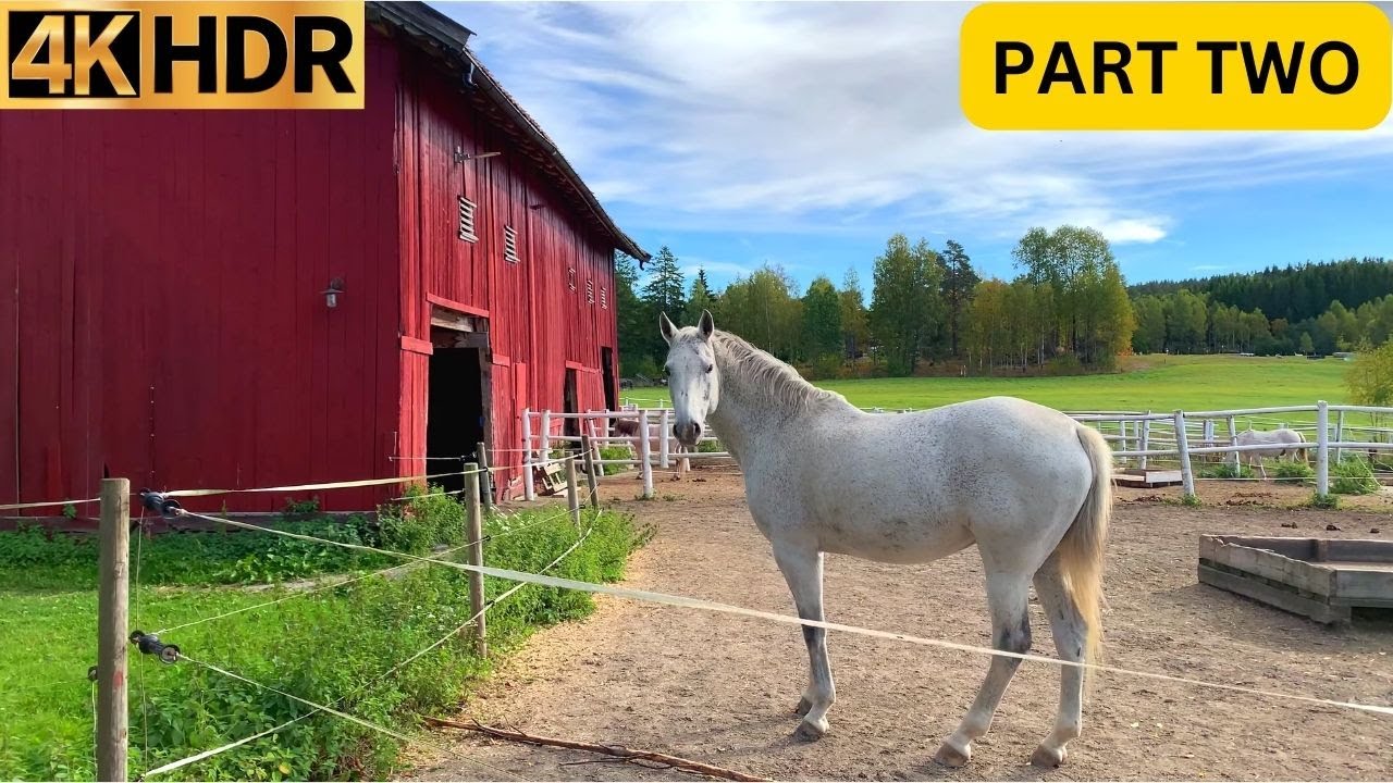 Norway Countryside Nature Walk | Farm & Horses Oslo Tomter | Norwegian Walking Virtual Tour 4K [P.2]