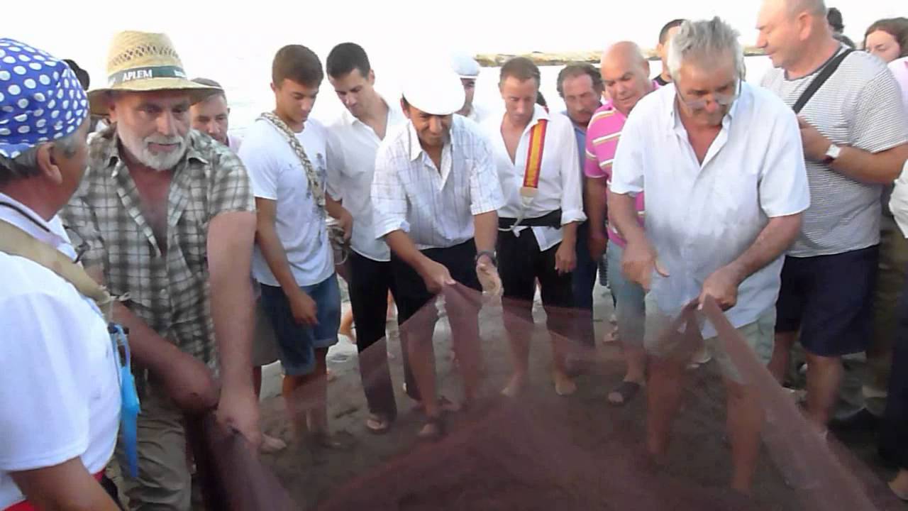 2015 EL COPO DE EL PALO Ibáñez Málaga