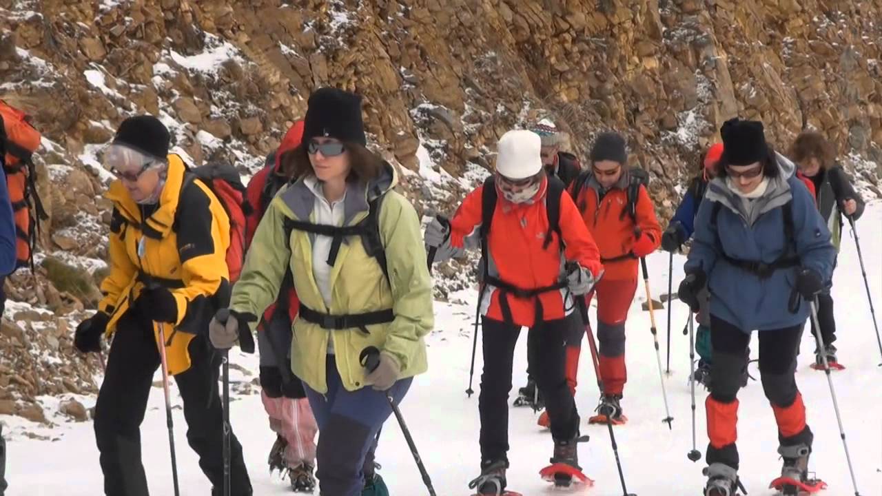Sortida amb raquetes de neu al Port  del Comte