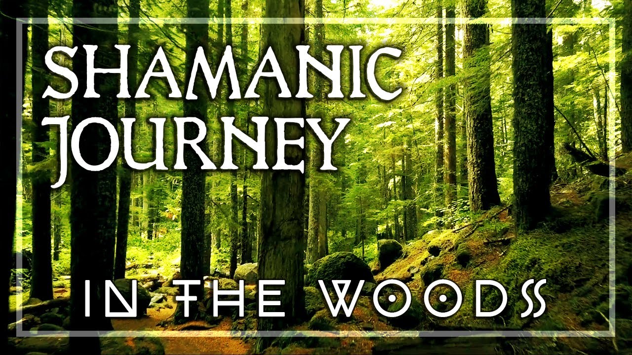 SHAMANIC DRUMS • Slow Drumming in the Woods • Mother Earth Reconnection • Tibetan Singing Bowls