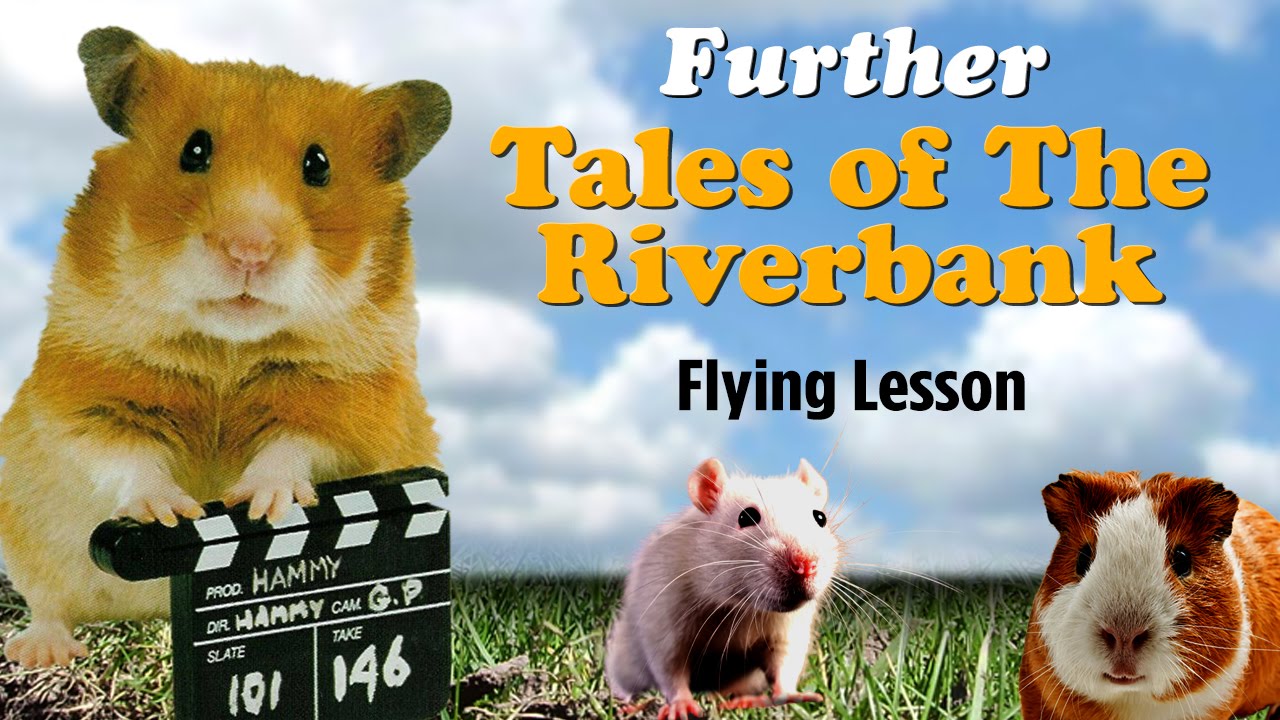 Flying Lesson