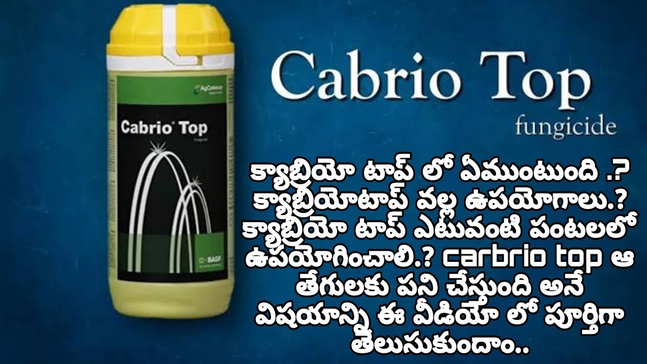 ANNADATHA//BASF CABRIO® TOP//METIRAM55%+PYRACLOSTROBIN5%//ARANNADATHA ENTERPRISES//MULAKALACHERUVU//