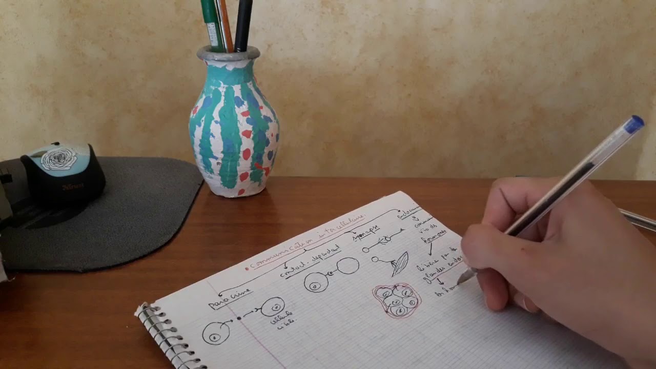 PHYSIOLOGIE ANIMALE-Chapitre d'Endocrinologie : la communication intercellulaire (Partie1/Vid&eacute;o2)