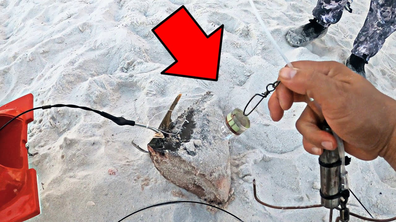 We Did This Trick and Caught a MASSIVE Shark !