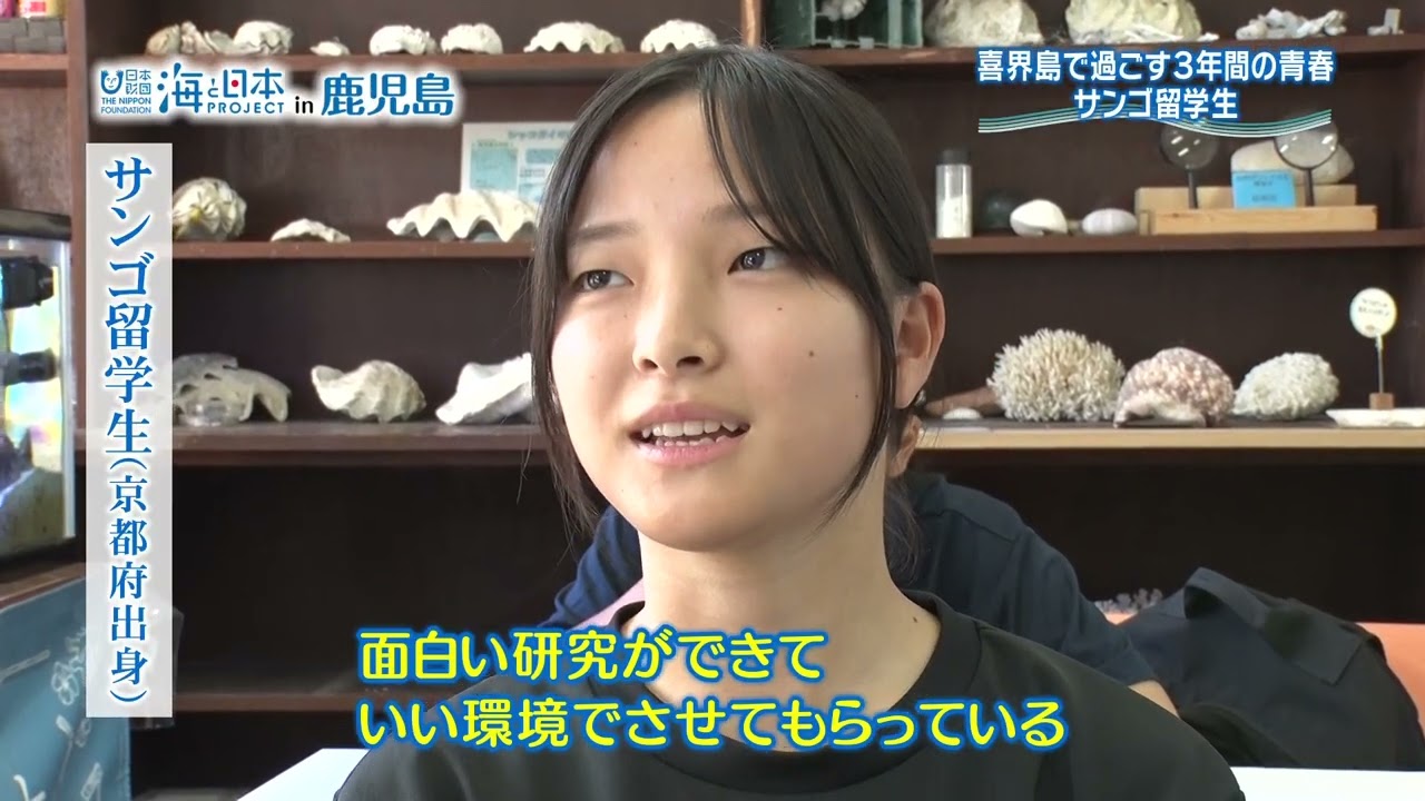 サンゴ礁研究の聖地で学ぶ！サンゴ留学生