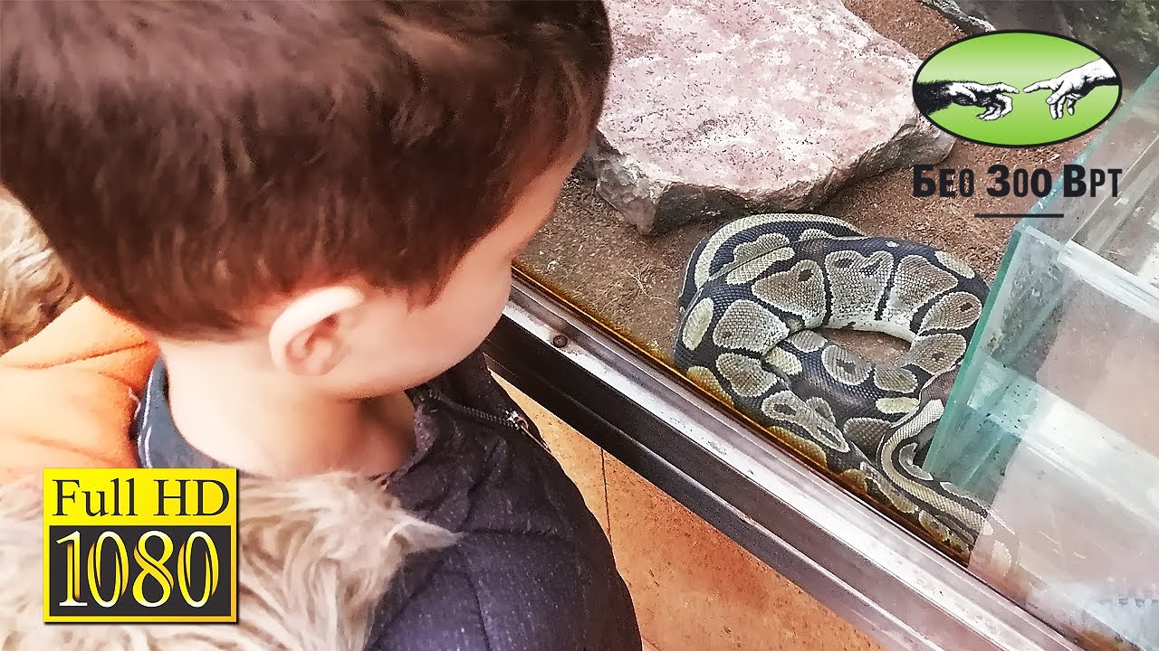 Beogradski ZOO vrt 24. oktobar 2021.