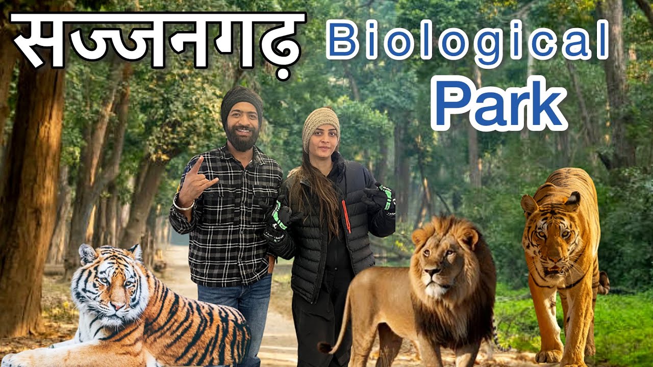SAJJANGARH BIOLOGICAL PARK UDAIPUR| सज्जनगढ़ वन्यजीव अभयारण्य उदयपुर | JUNGLE SAFARI UDAIPUR
