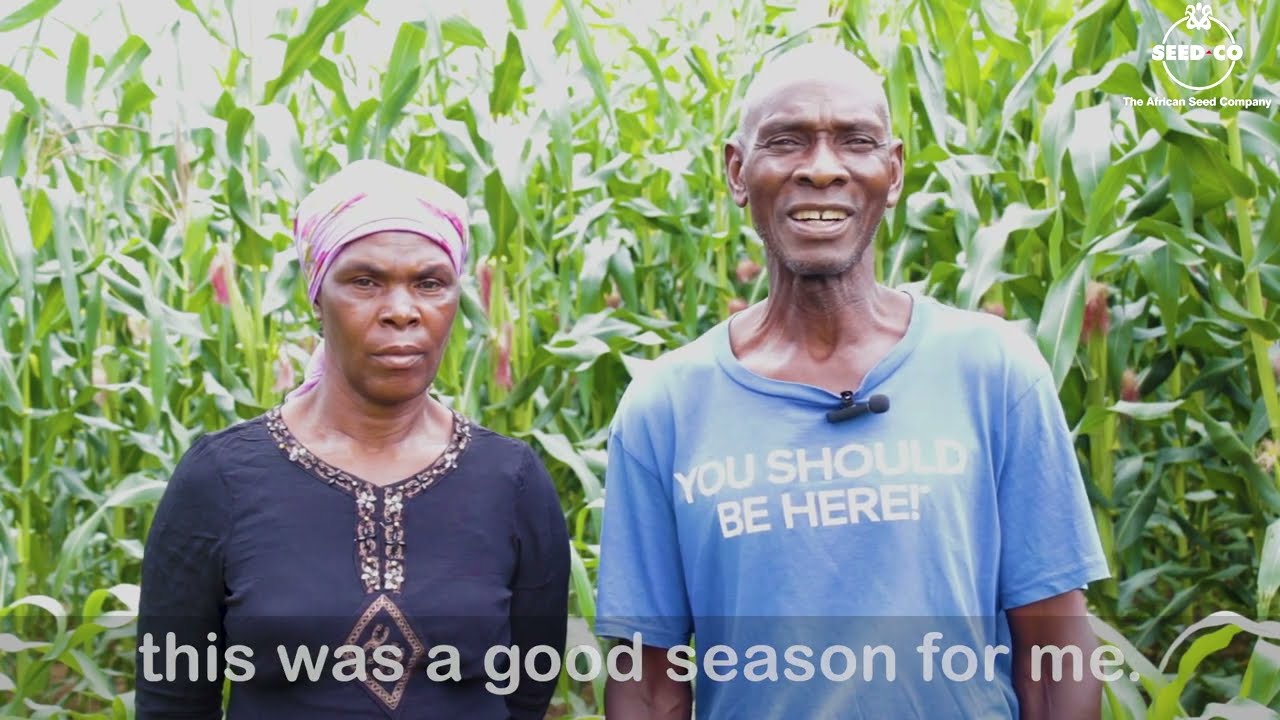 SC 727, SC 661, SC 555 & SC 419 testimonial-Spreading risk in an El-Nino induced season-Rainfed crop