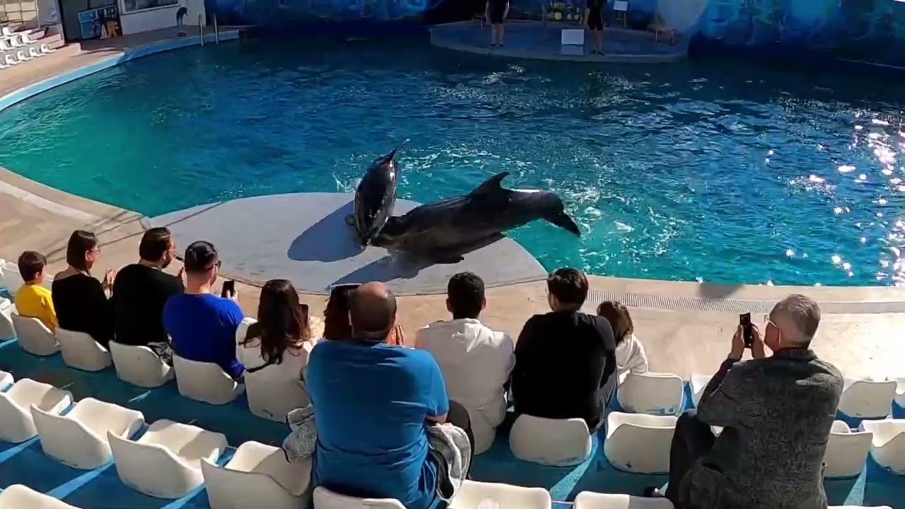 Dolphin Land Aqua Land Antalya 2022
