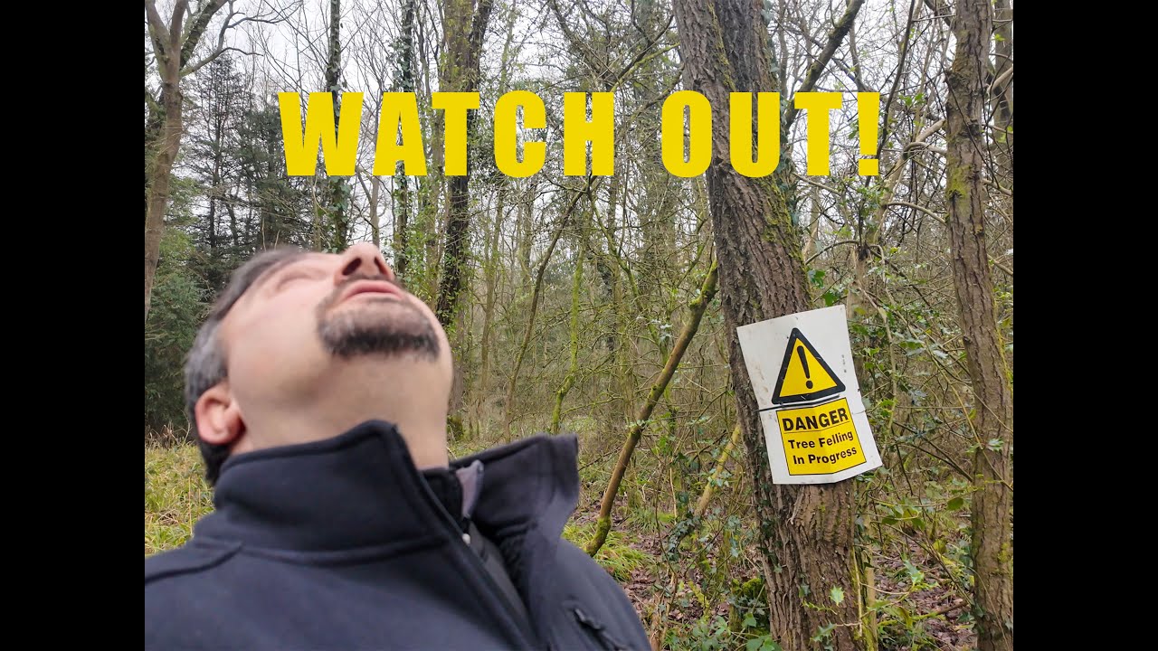 DANGER Tree Felling | That was a close one!