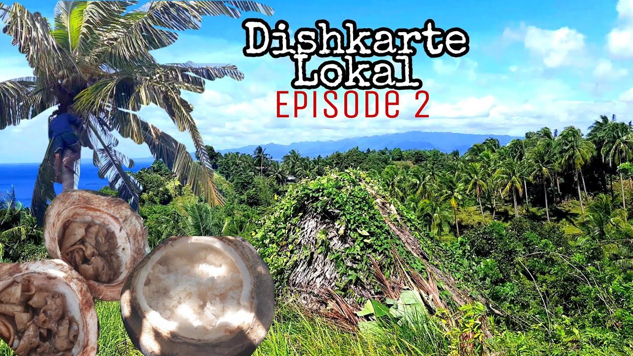 WE TRIED COOKING RICE IN COCONUT SHELL AND COCONUT ADOBO FOR LUNCH ( Dishkarte Lokal Episode 2)