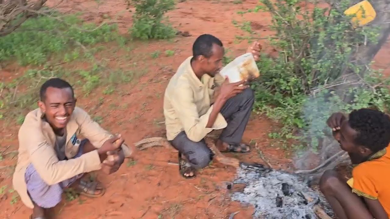 QOSOL ; Maqsad Sahal iyo Mawliid Abdiwahab