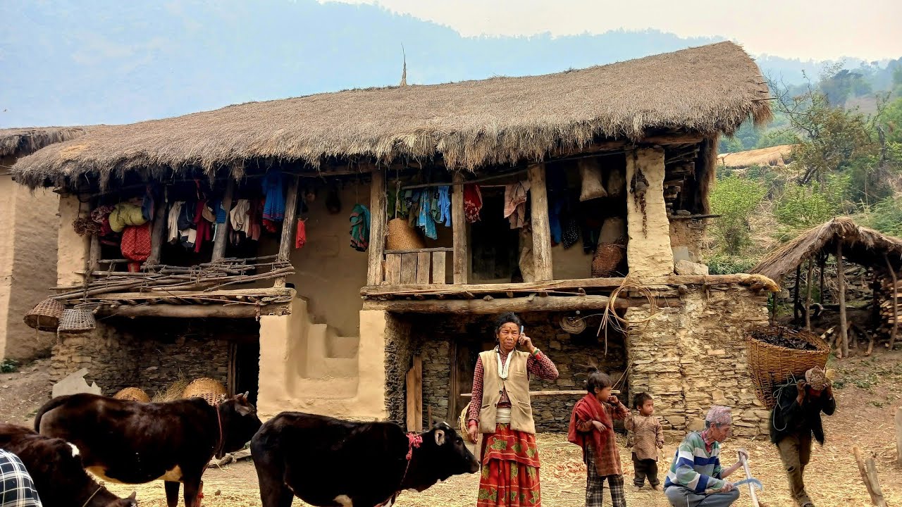 Simple The Best peaceful Himalayan Village Life|| Daily activities of people Nepali village lifestyl