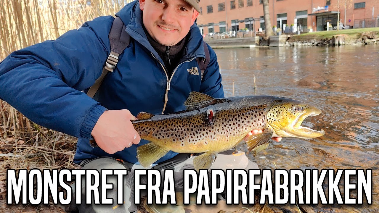 Monstret fra Papirfabrikken - Sæsonens største søørred