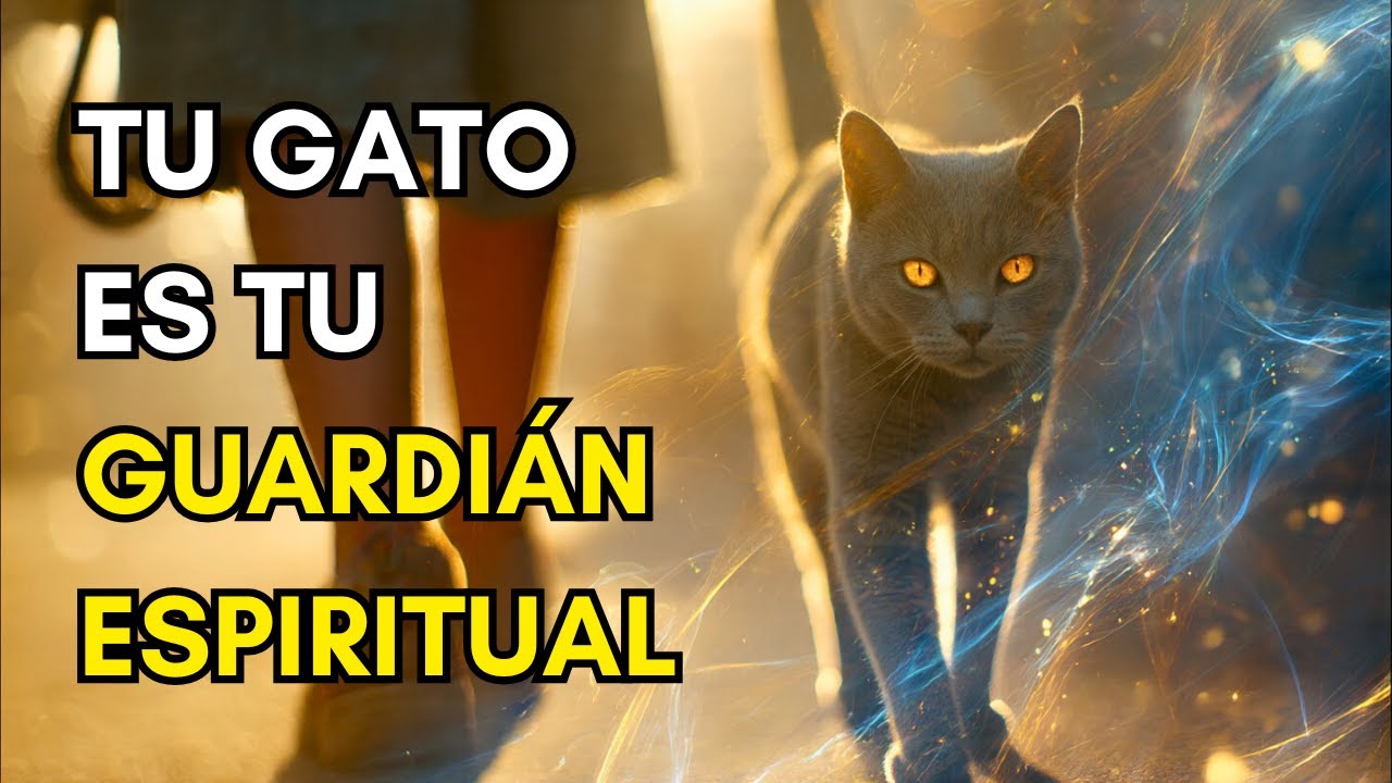 Por Qué Tu Gato Te Sigue a Todas Partes - Protección Espiritual Felina Revelada