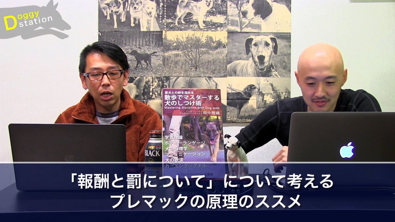 【犬のしつけの心理学】プレマックの原理：DOGGY STATION Vol.60/犬のしつけ・問題行動・犬の心理学・犬の行動学・ドッグトレーナー・ドッグビヘイビアリスト