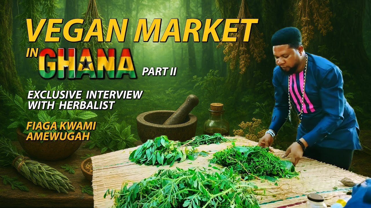 HERBAL MEDICINE & VEGAN LIVING IN GHANA 🇬🇭 | EXCLUSIVE HERBALIST INTERVIEW | VEGAN MARKET PART 2