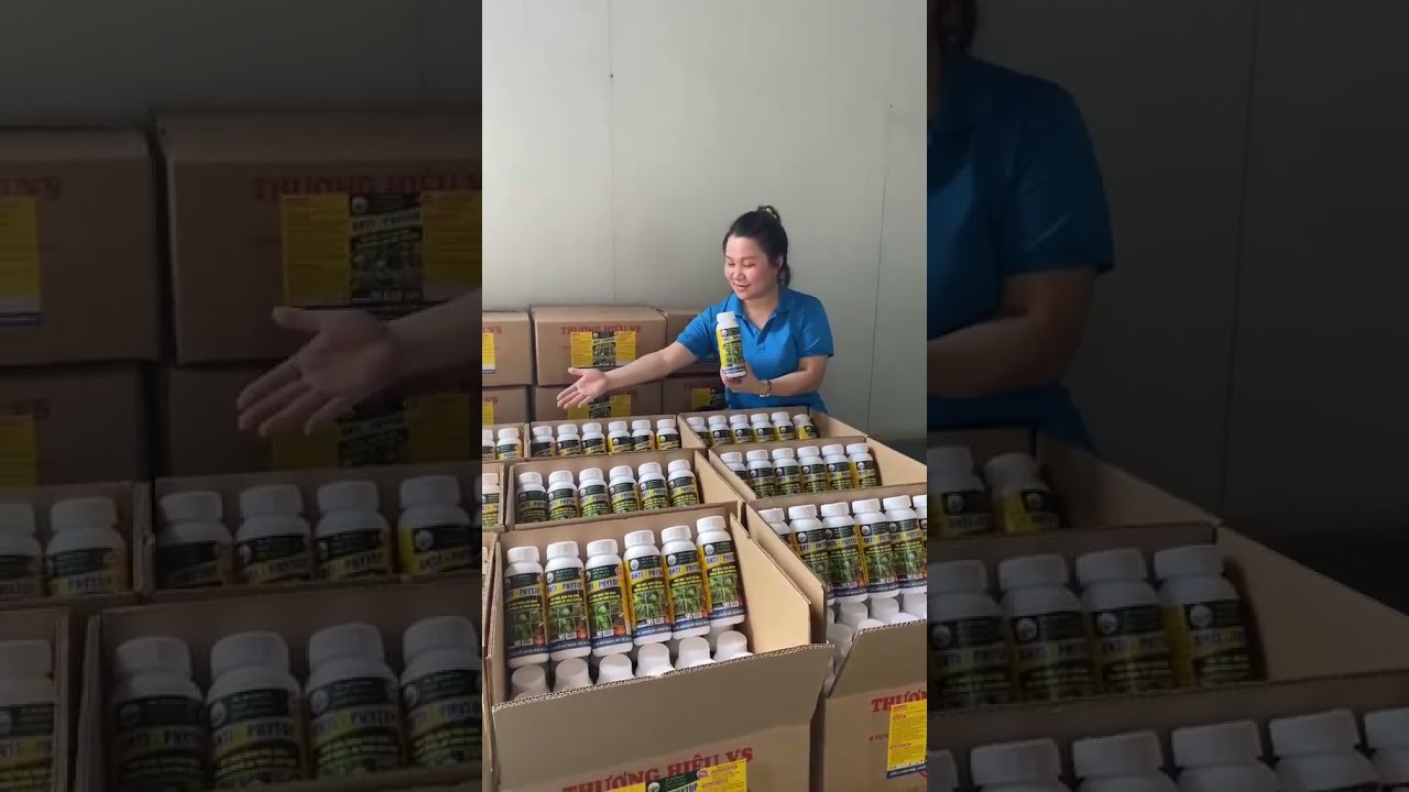 600 chai ANTI PHYTOP cho kh&aacute;ch nh&agrave; em.
