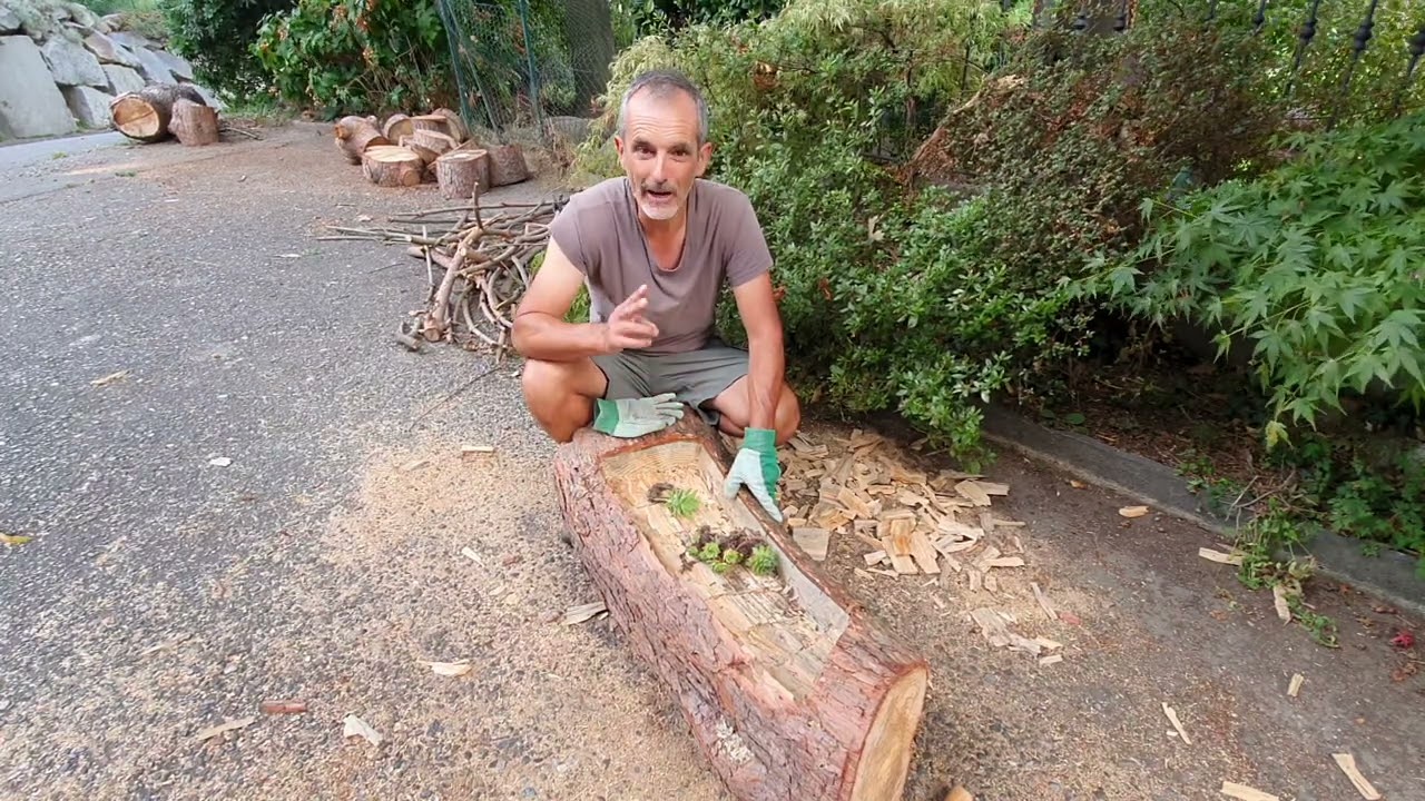 Come fare una fioriera con un tronco di un albero