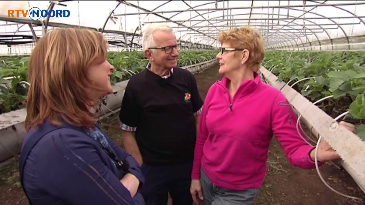 Cunera [29-3-2015] - RTV Noord