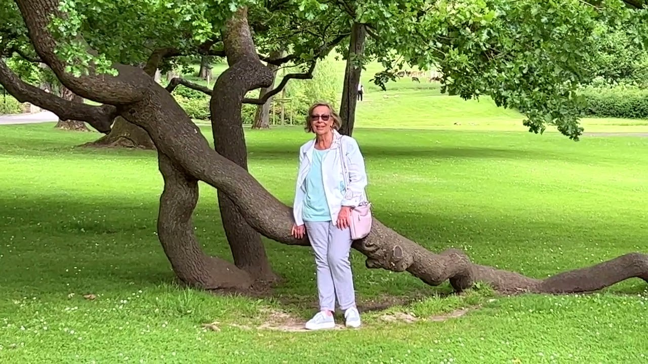 𝟒𝐊 - Kleine Auszeit im Gräflichen Park in Bad Driburg - 2022-06 (P)