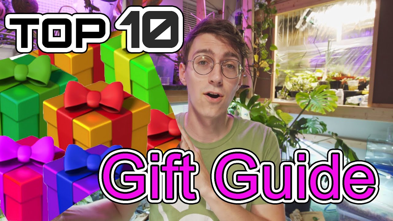 Top 10 BEST Gifts For Plant Lovers And Enthusiasts
