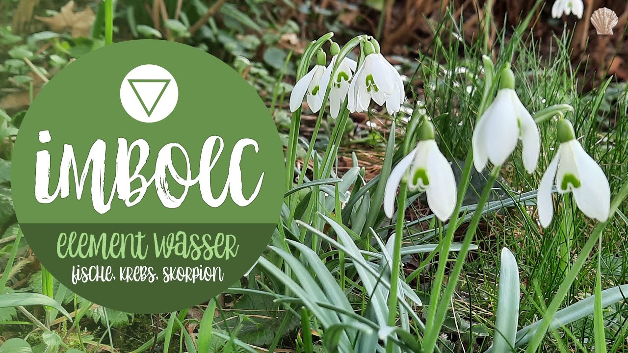 IMBOLC 2026 🌷 Tarot-Legung f&uuml;r das Wasser-Element | Krebs &middot; Skorpion &middot; Fische