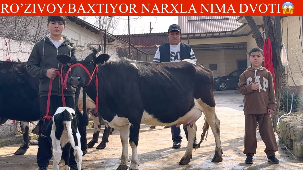 ROʻZIVOY NARX AYTISHNI YORIB TASHADI ✊ONA BOLA SIGIRLAR