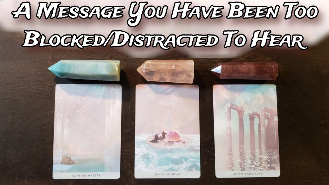 🌸🐚 A Message You Have Been Too Blocked/Distracted To Hear! 🐚🌸 🦭 Pick A Card Reading