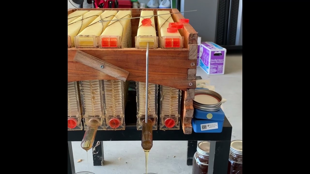 Amazon’s Flow Frame bee hive kit