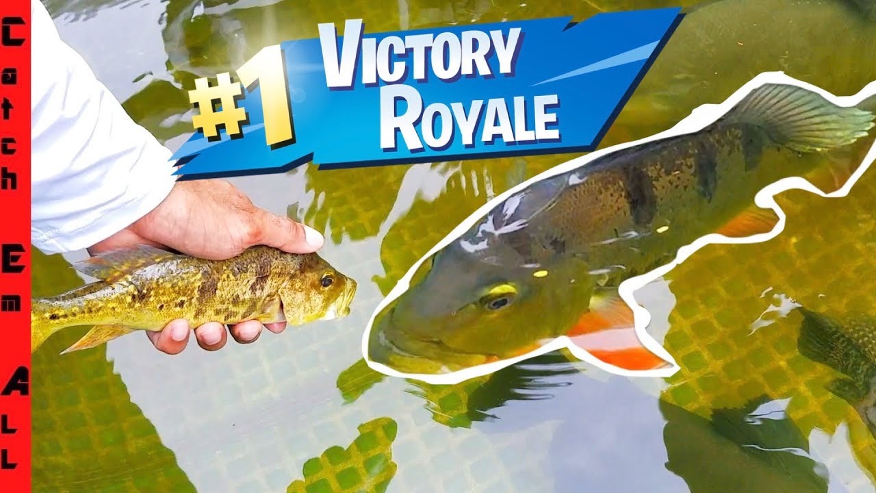 FISH BATTLE ROYALE! Strongest Fish Rules the Pond