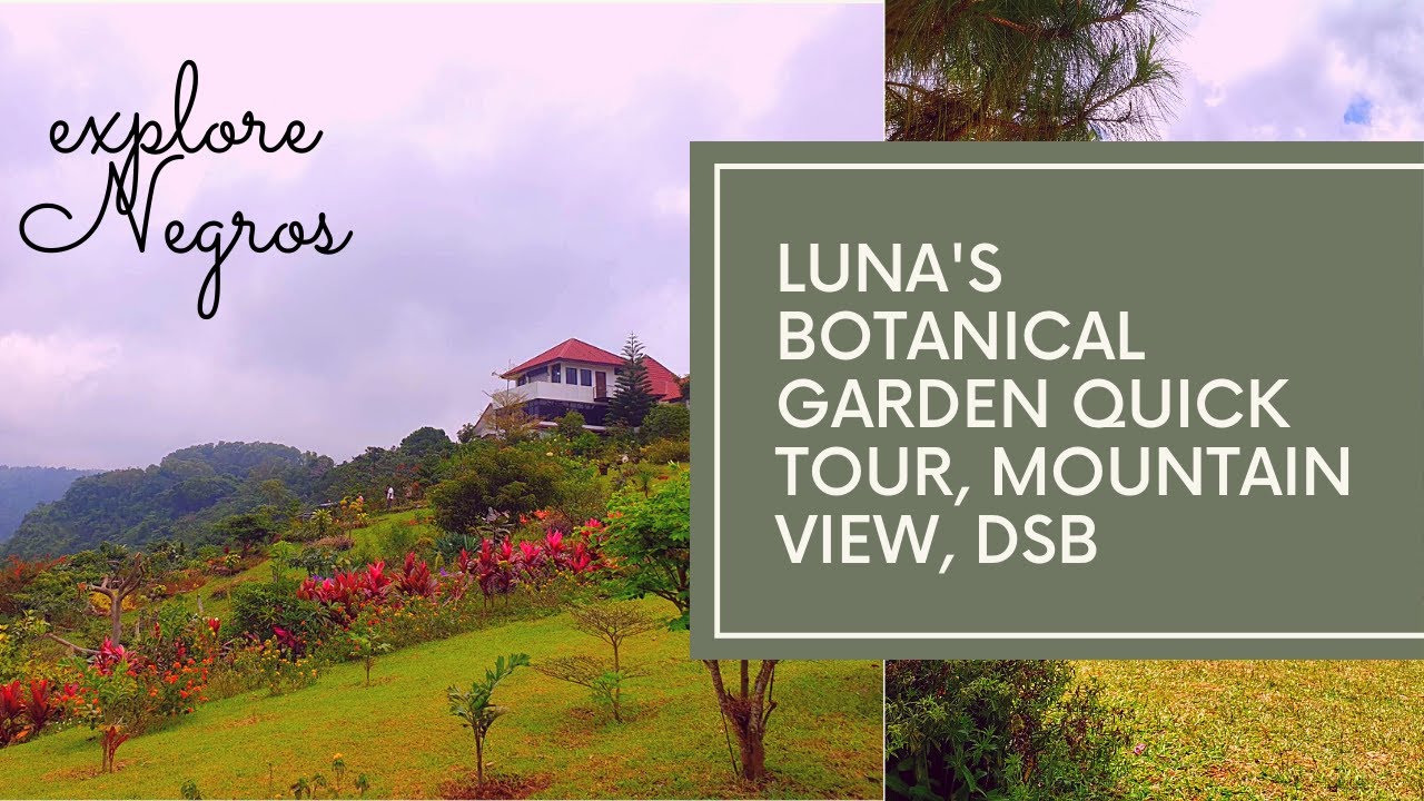 Don Salvador Benedicto Mountain View Resort, Luna's Botanical Garden | Best of Negros