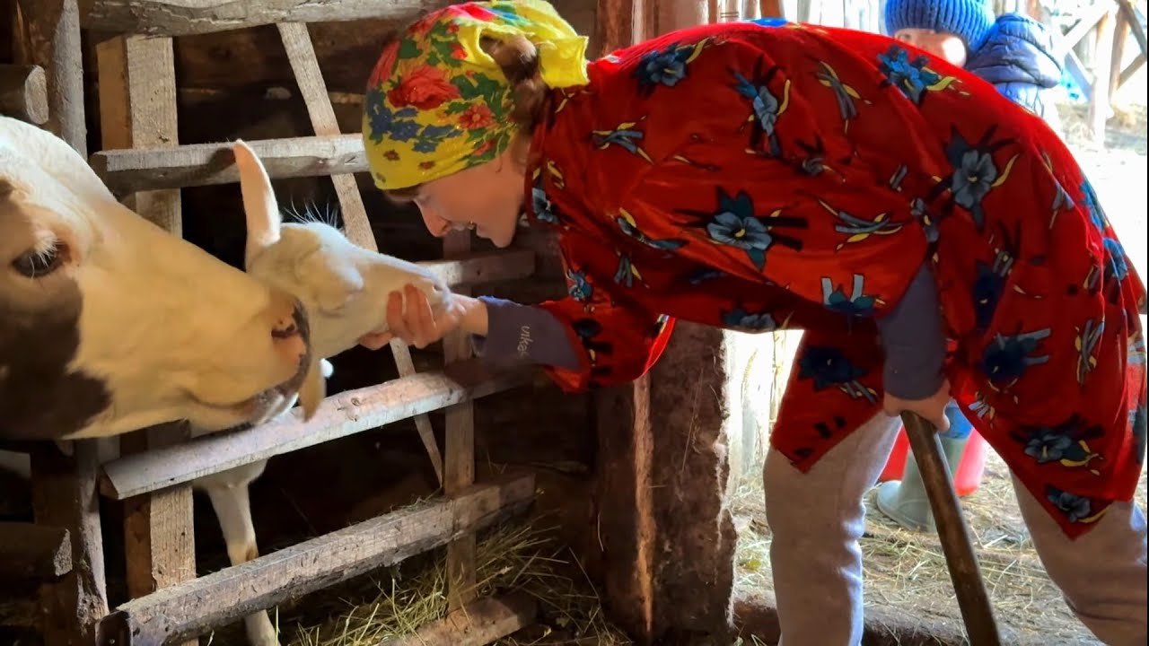 One day in the Carpathian village on the top of the mountain