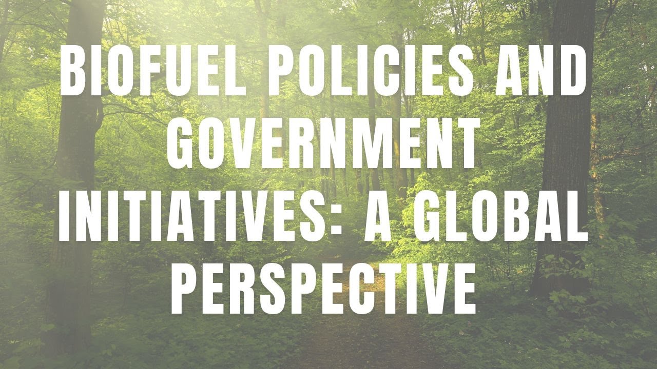 Biofuel Policies and Government Initiatives: A Global Perspective