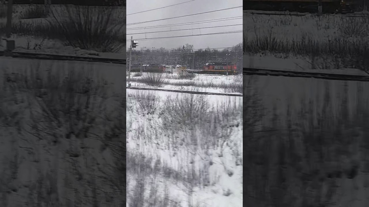 Электровозы ВЛ11, ВЛ10У, тепловозы ТЭМ14, 2М62 и снегоочиститель ПОМ1М на станции Бекасово-сорт