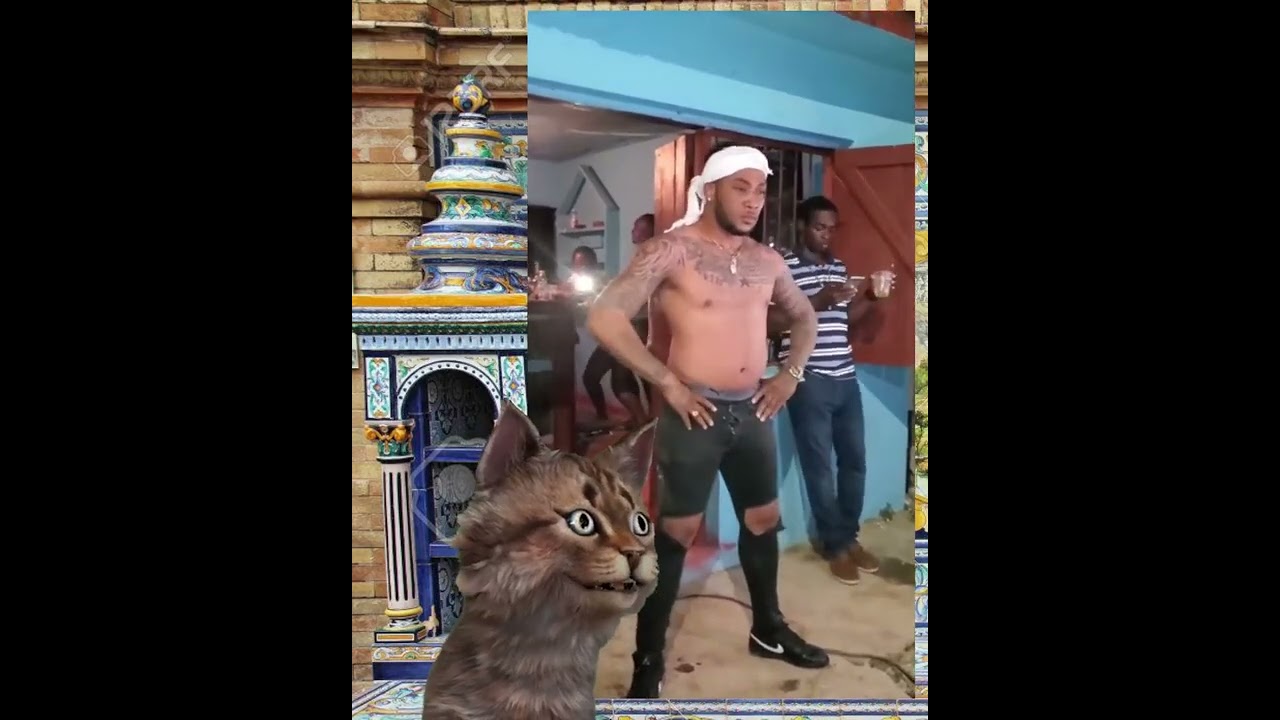 [Gato Malaiko] - Os Profissionais