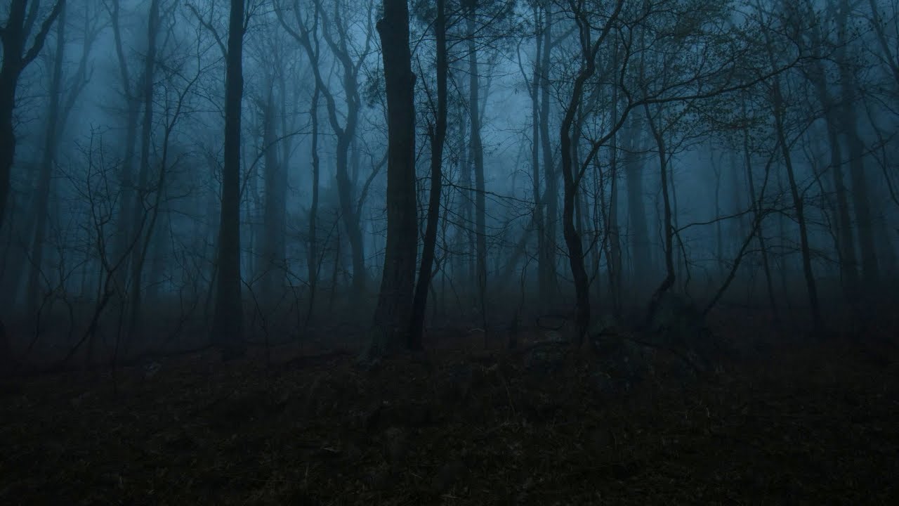 You're resting in a haunted forest at midnight | 2-Hour Dark Ambient Music for Study and Relaxation