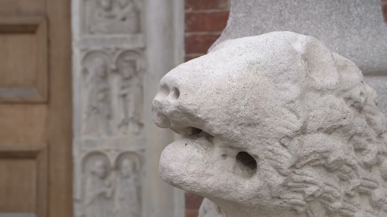 Modena ad un tratto | Medioevo Fantastico