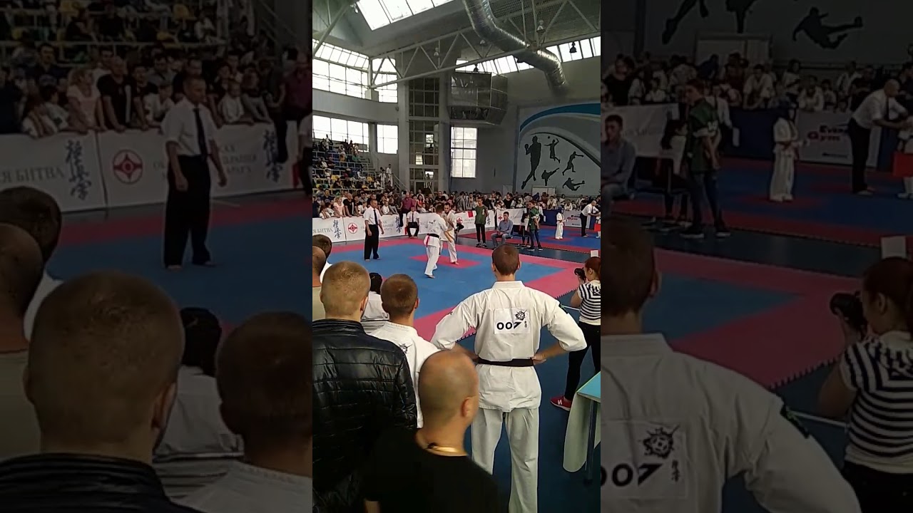 Полтавская битва 2017 Дмитрий Шиян Финал