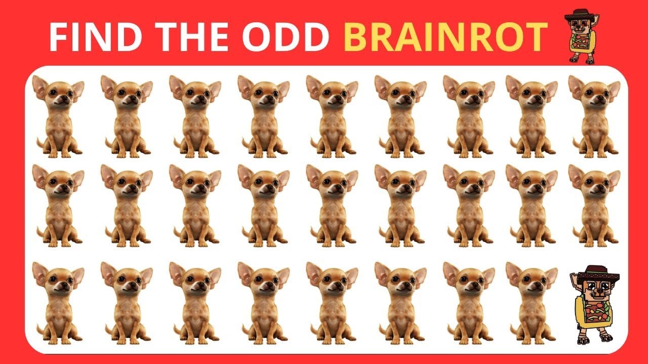 Find the EXTRA - Edition With Brainrot Easy, Medium, Hard -15 levels 9 | QUIZ #roblox