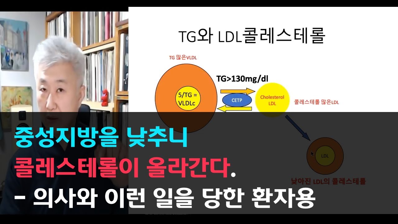 88.중성지방을 낮추니 콜레스테롤이 올라간다 - 의사와 이런 일을 당한 환자용