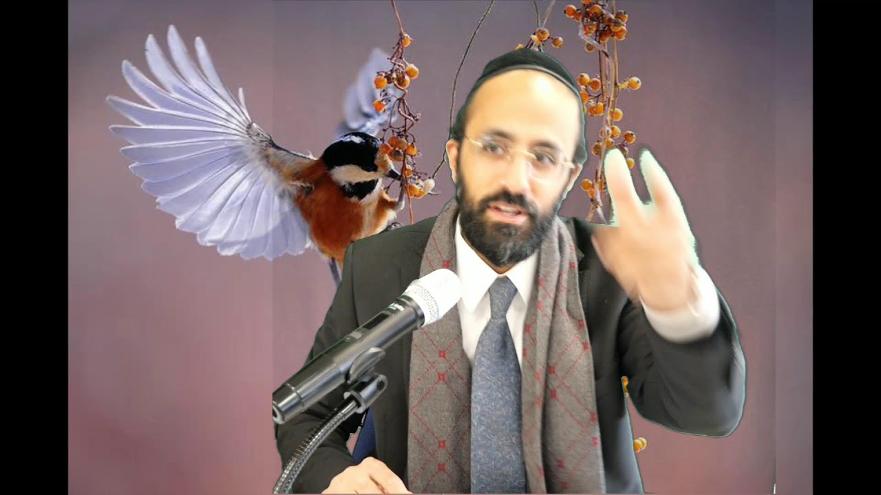 החיזוק היומי • הרב ישי יפת