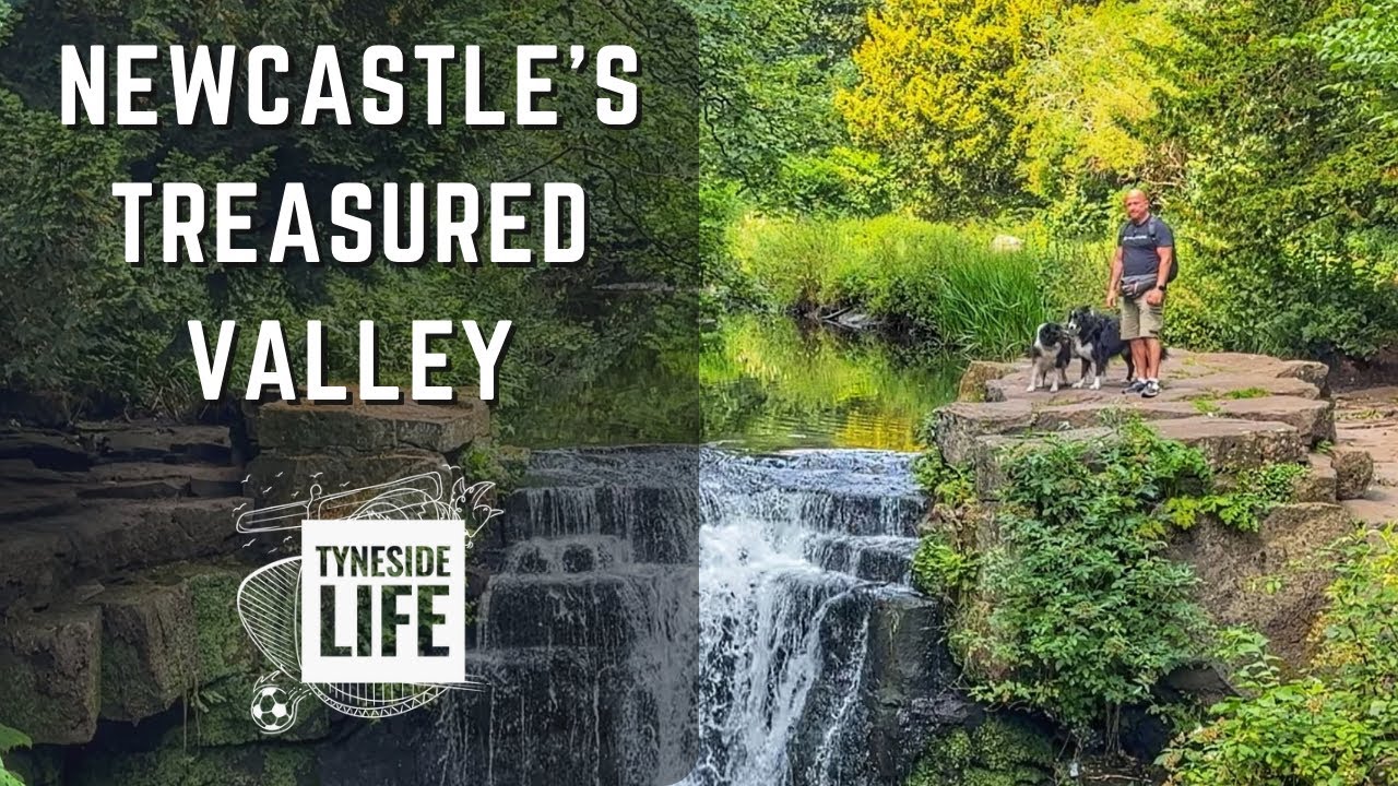 Jesmond Dene: The Hidden Heart of Newcastle You Never Truly Knew