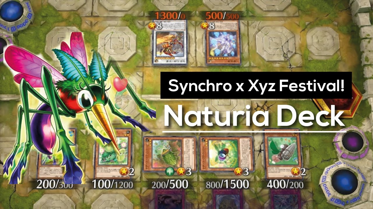 They don't know the rule of Naturia Deck? | Syncro Xyz Festival [Master duel] 2022