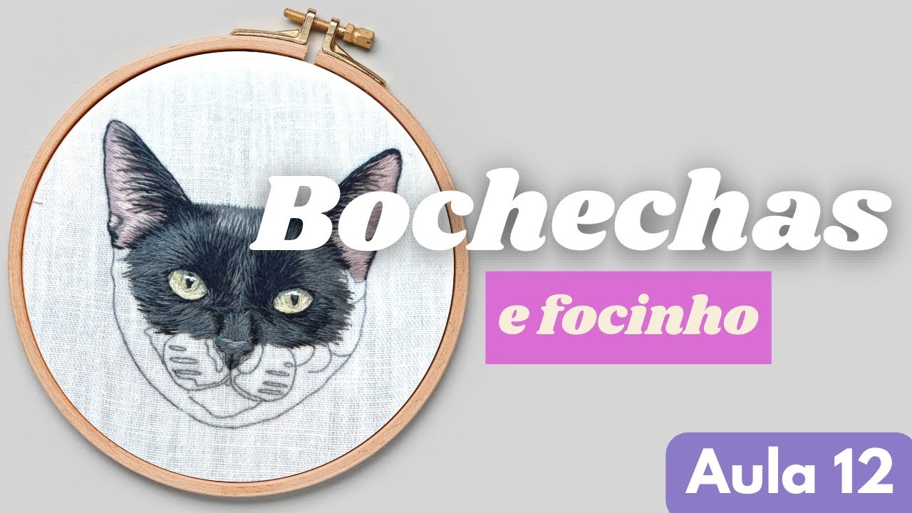Bordando o Gatinho - Bochechas e Focinho