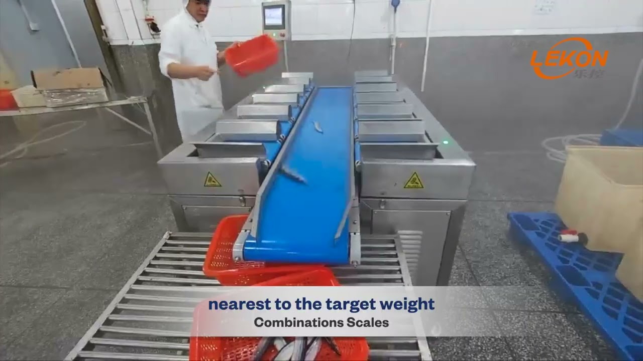 Multi Head Weigher | Combination Scales