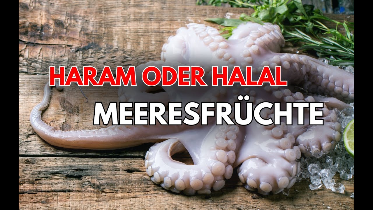 Haram oder Halal - Meeresfr&uuml;chte - Der Islam