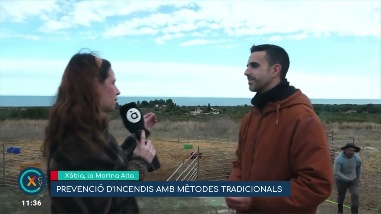 Ramat en Xàbia