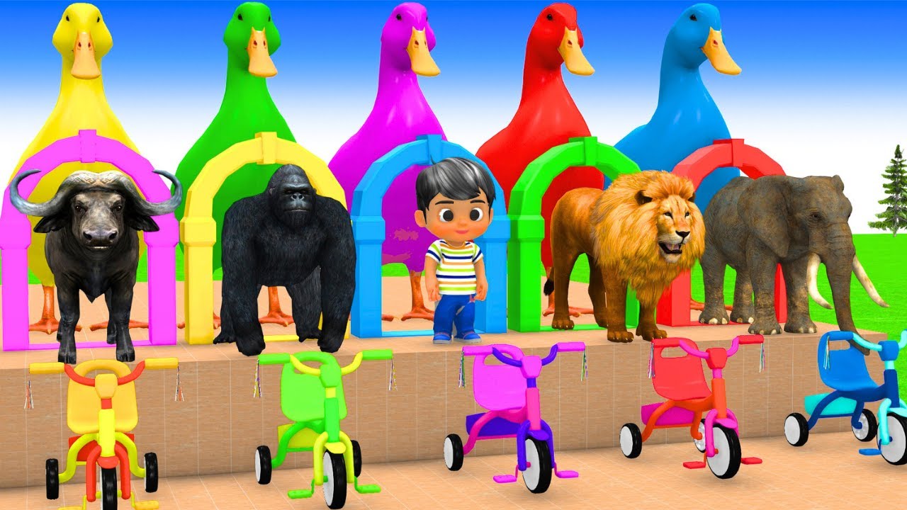 Long Slide Game With Elephant Gorilla Buffalo Hippopotamus Tiger 3d Animal Game Funny 3d Animals