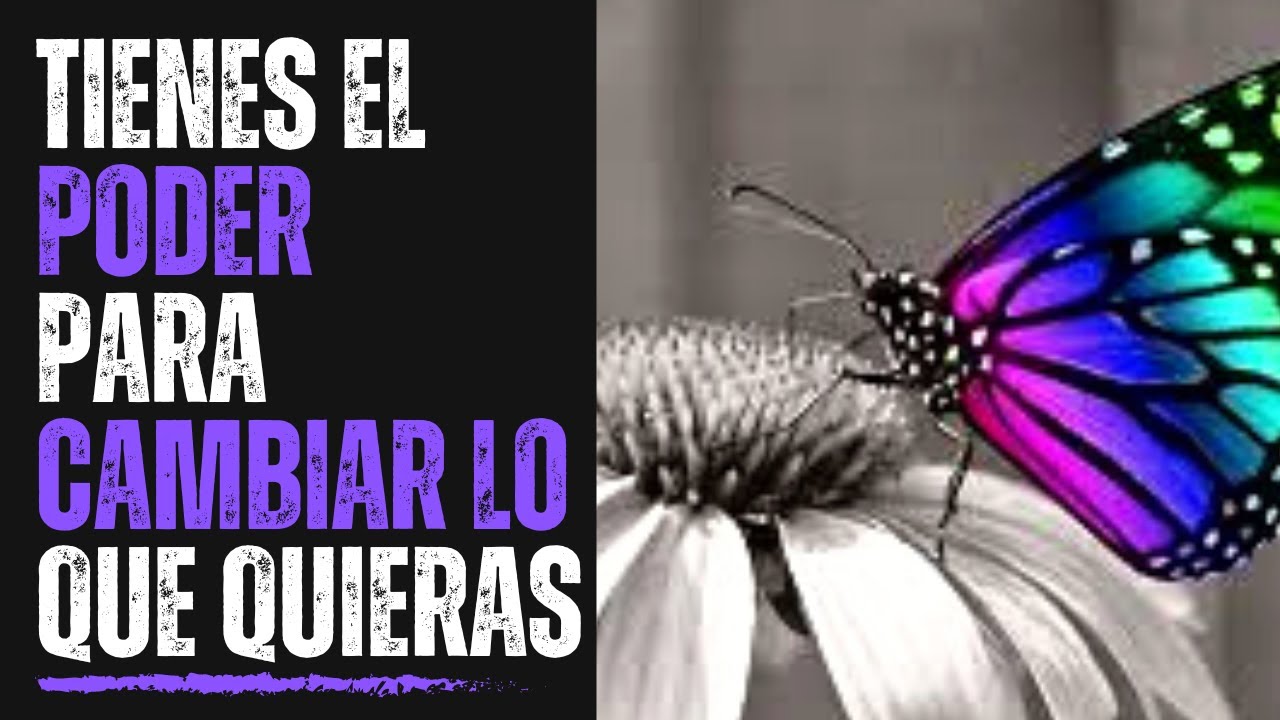 TU PUEDES TRANSFORMAR A CUALQUIER PERSONA Y CUALQUIER SITUACION